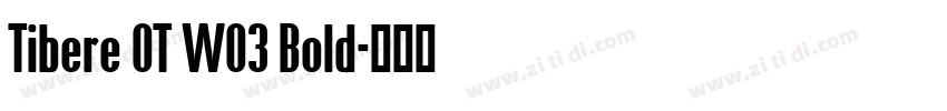Tibere OT W03 Bold字体转换